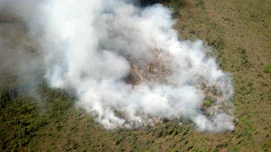 Bear Creek Fire, June 22 NPS Photo / Forrest Ford