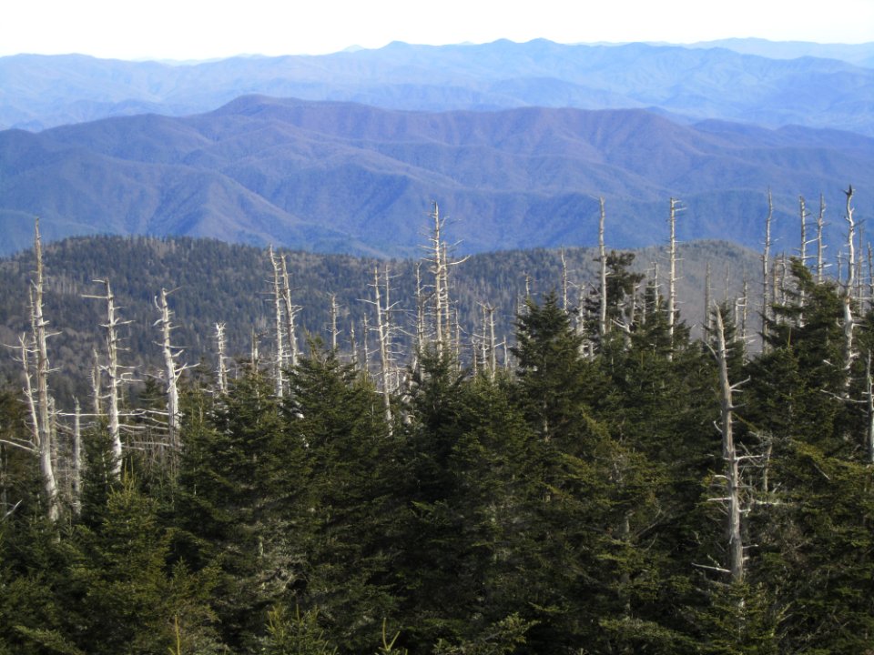 View off AT from Clingmans Dome, February 2012--Christine Hoyer