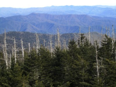 View off AT from Clingmans Dome, February 2012--Christine Hoyer