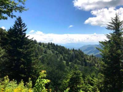 Newfound Gap, July 2018--Andrea Walton