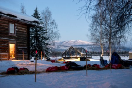 2016 Yukon Quest in Yukon-Charley - Slaven's Roadhouse photo