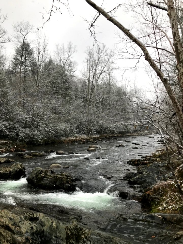 Snowy stream at Greenbrier--Andrea Walton