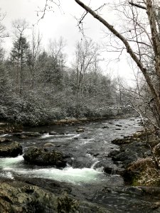 Snowy stream at Greenbrier--Andrea Walton