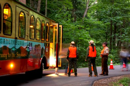 Synchronous fireflies--rangers greet trolley, June 2012 photo