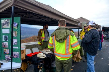 Foothills Parkway Community Day, November 8, 2018--Chalice Keith