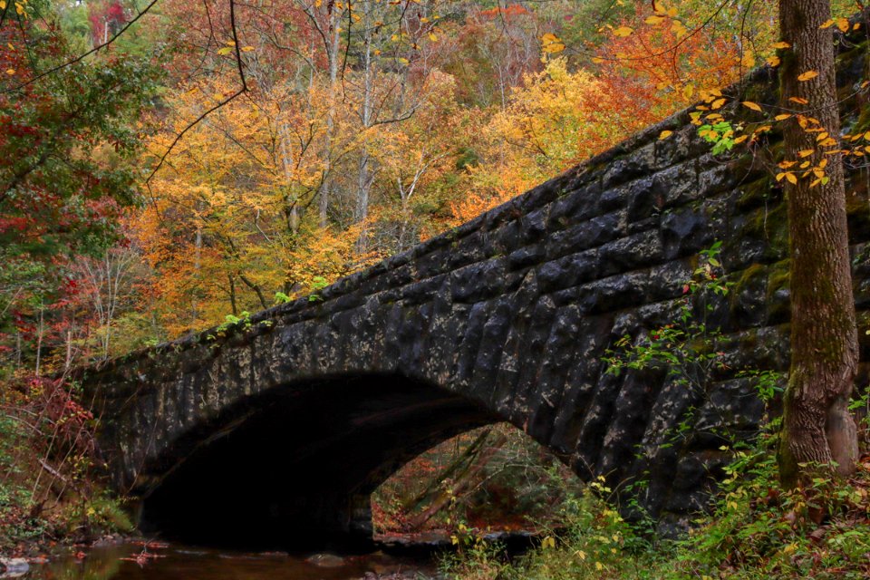 Laurel Creek Road, October 24, 2020 -- Warren Bielenberg (1)