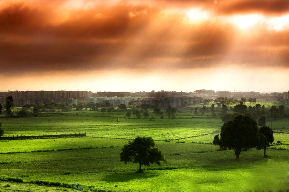 TIRANGA photo