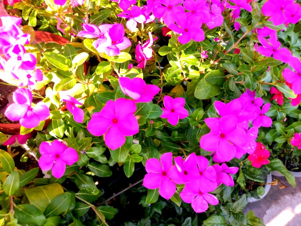 IMAG0027