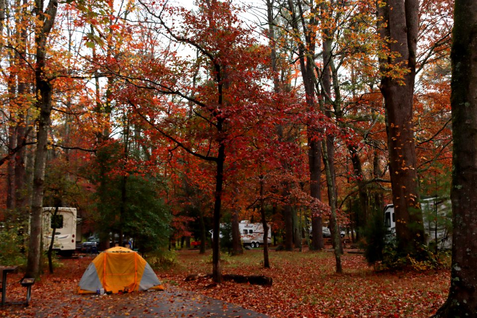Cades Cove Campground, October 24, 2020 -- Warren Bielenberg (8)