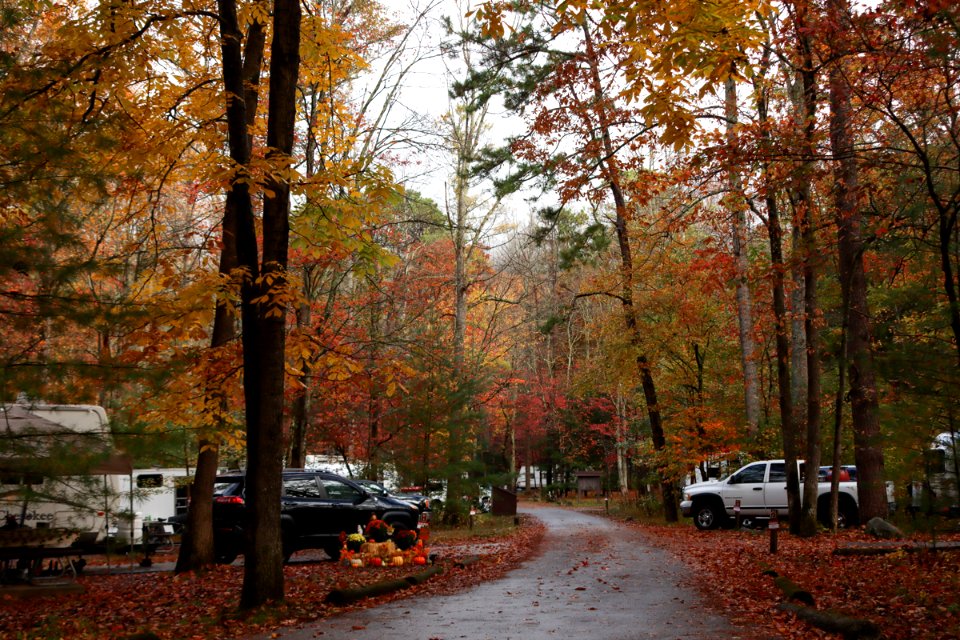 Cades Cove Campground, October 24, 2020 -- Warren Bielenberg (4)