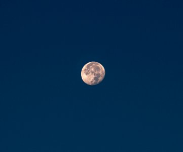 The Man on the Moon