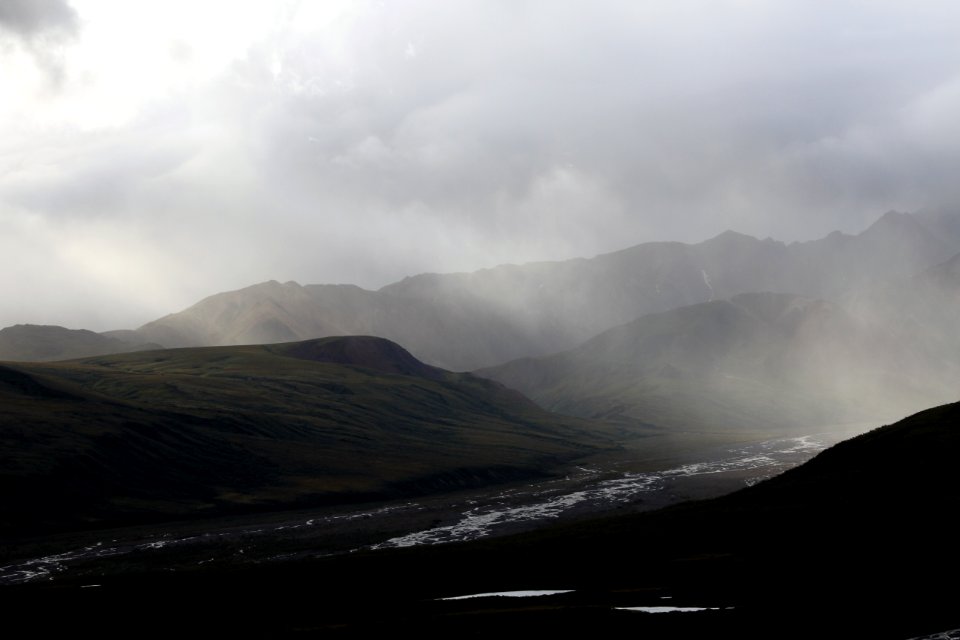 Denali National Park 9