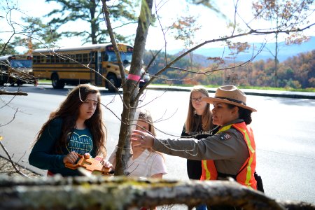 Foothills Parkway Education Day, November 7, 2018--Chalice Keith