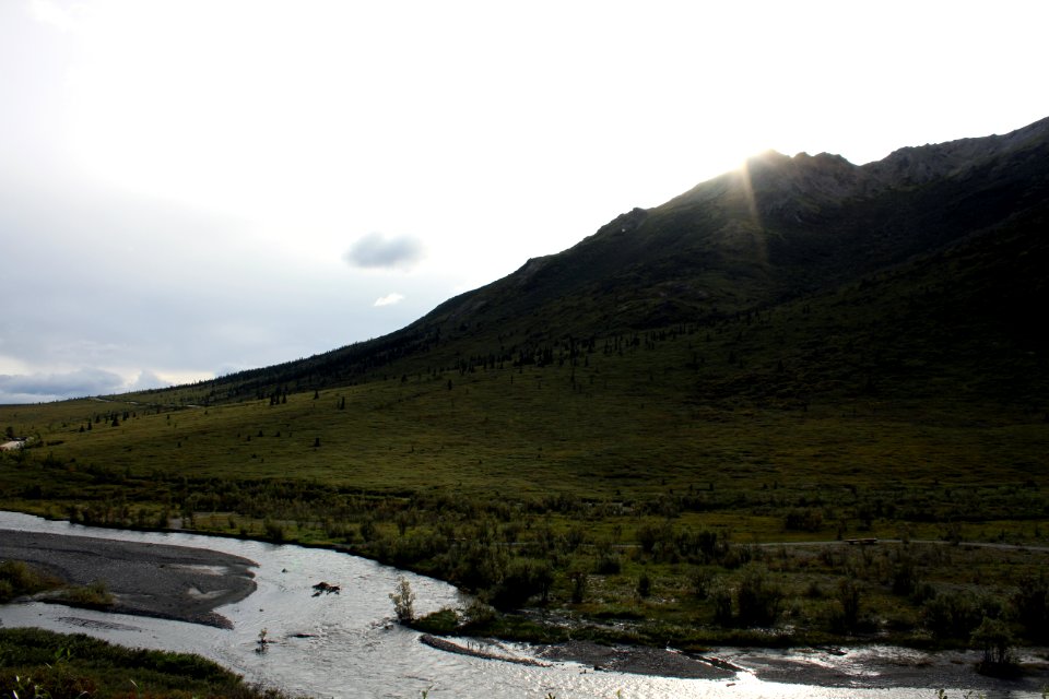 Denali National Park 26
