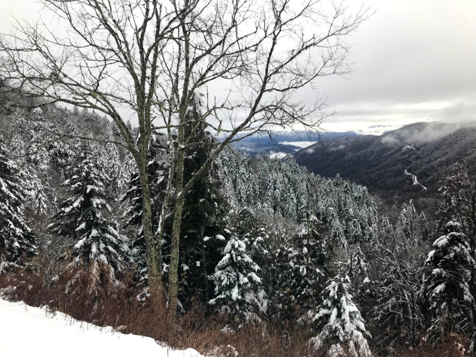 Snowy view from Newfound Gap, December 10, 2018