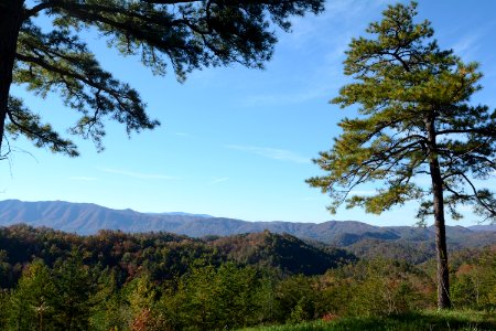 Foothills Parkway Education Day, November 7, 2018--Chalice Keith