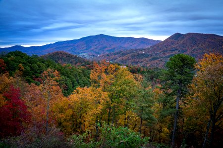 Foothills Parkway, November 2018--Joye Ardyn Durham