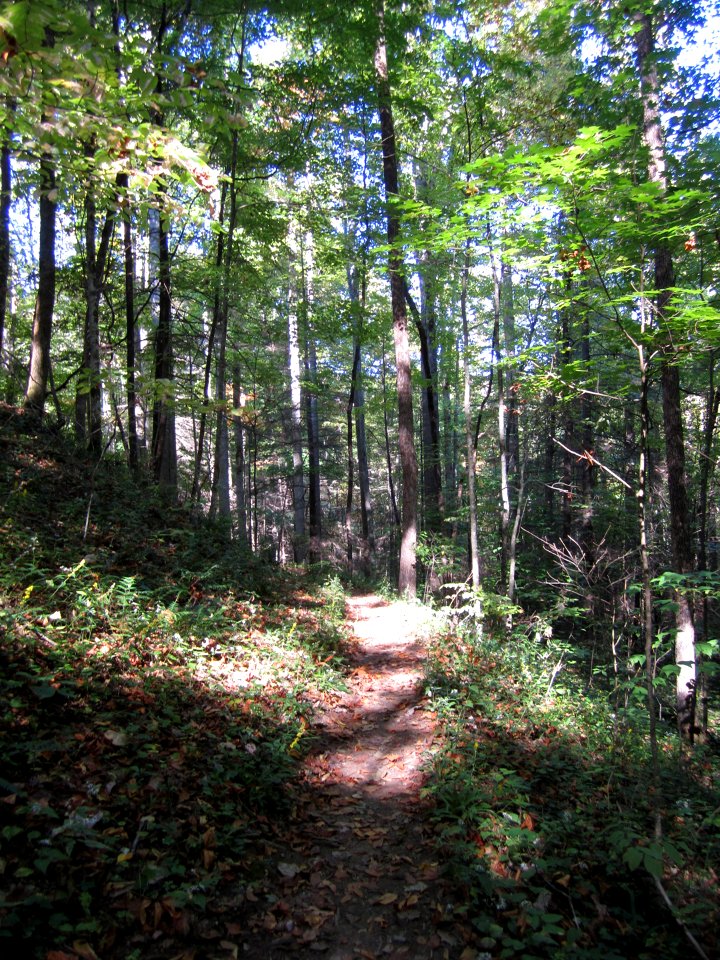 Grassy Branch Trail, October 2011--Christine Hoyer