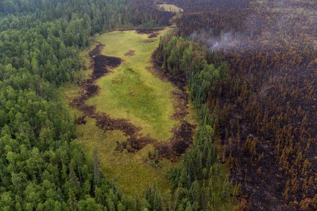 Moose Creek Fire, Denali National Park, 2015