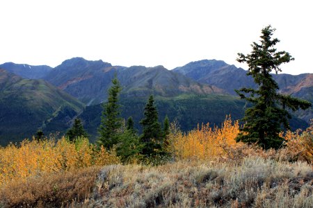 ALCAN Highway 6