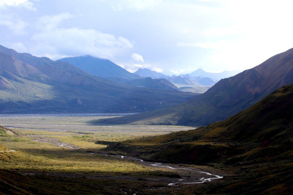 Denali National Park 4
