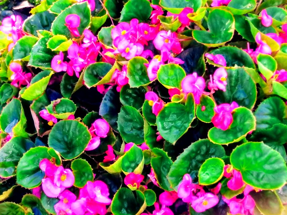 IMAG0055