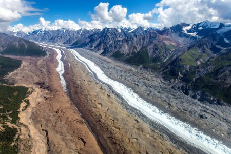 Barnard Glacier (4)