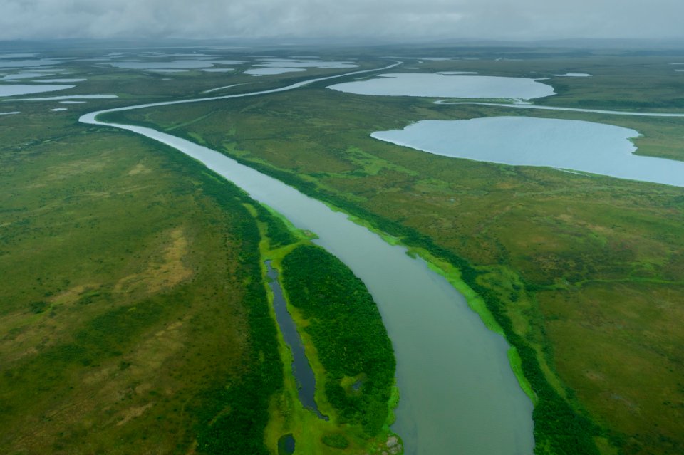 Near the mouth of the Kobuk River