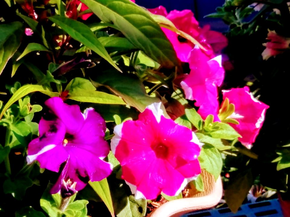 IMAG0058