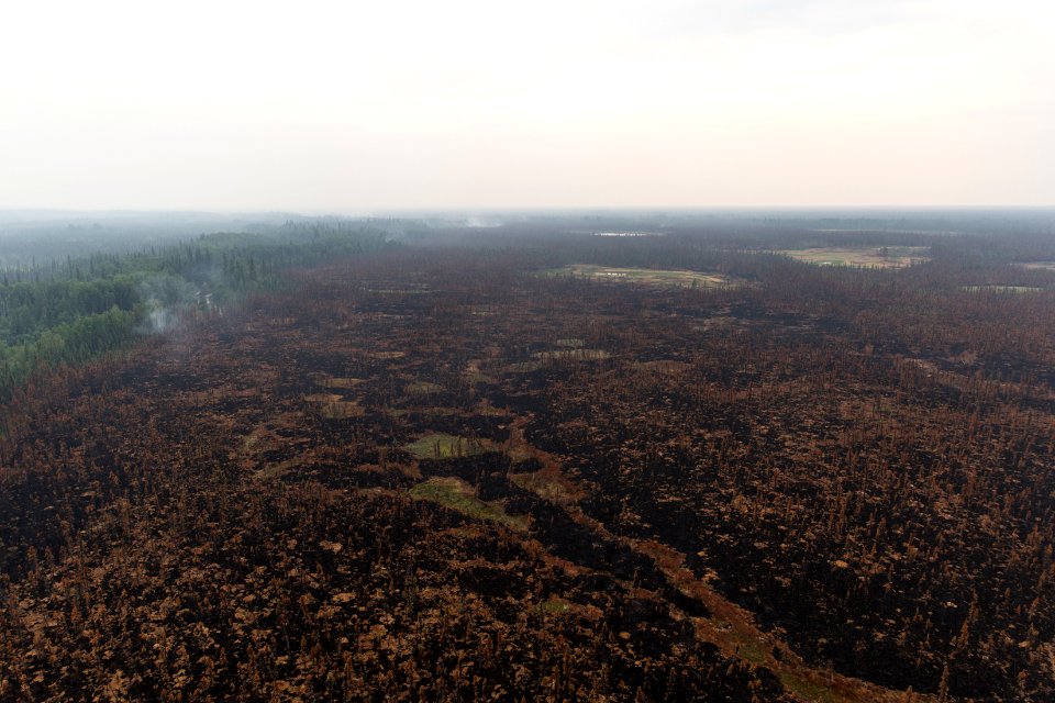 Moose Creek Fire, Denali National Park 2015