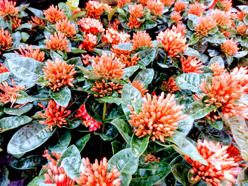IMAG0026