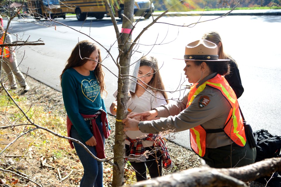 Foothills Parkway Education Day, November 7, 2018--Chalice Keith