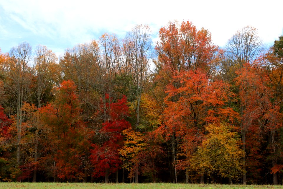 Cades Cove, October 24, 2020 -- Warren Bielenberg (1)