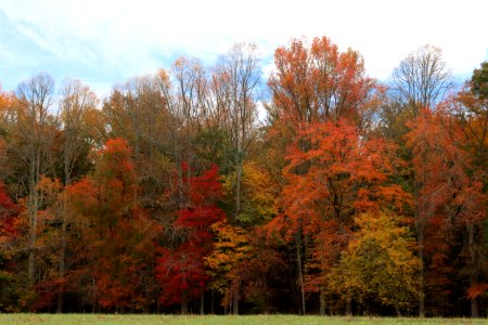 Cades Cove, October 24, 2020 -- Warren Bielenberg (1)