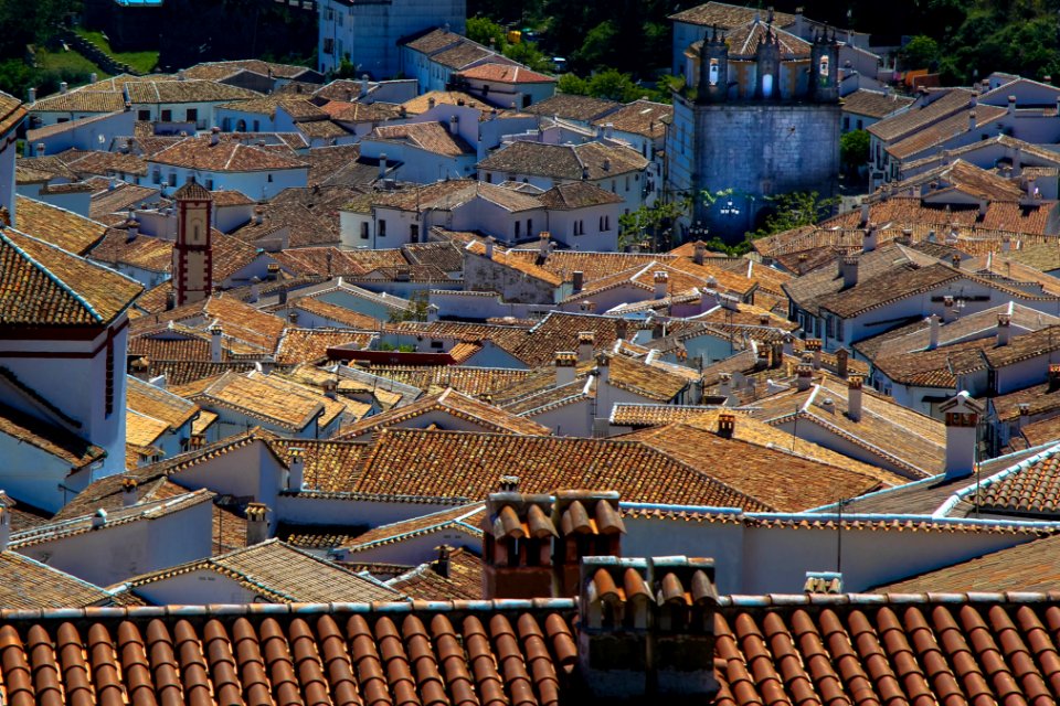 Roofs