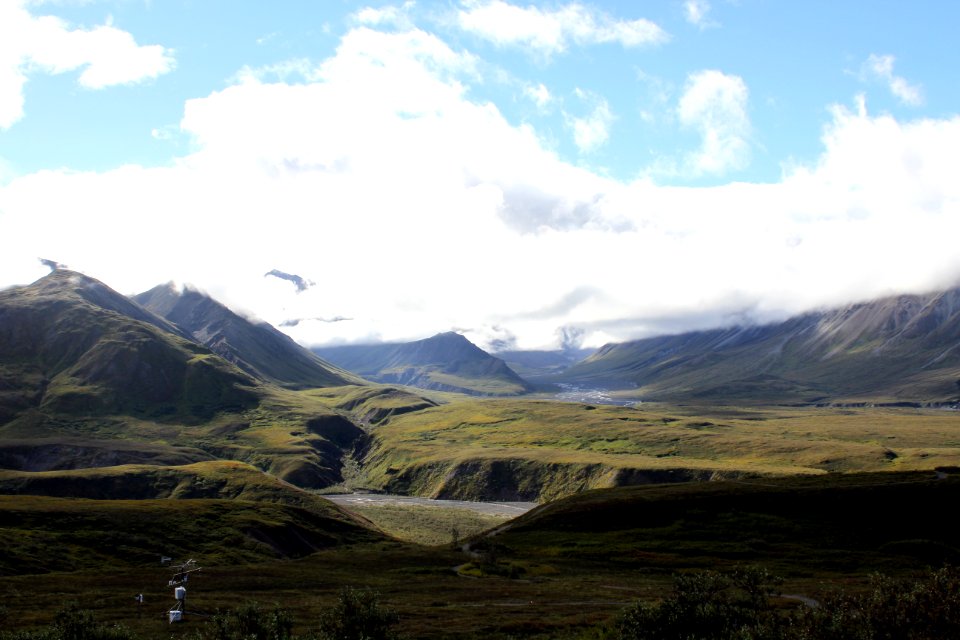 Denali National Park 1