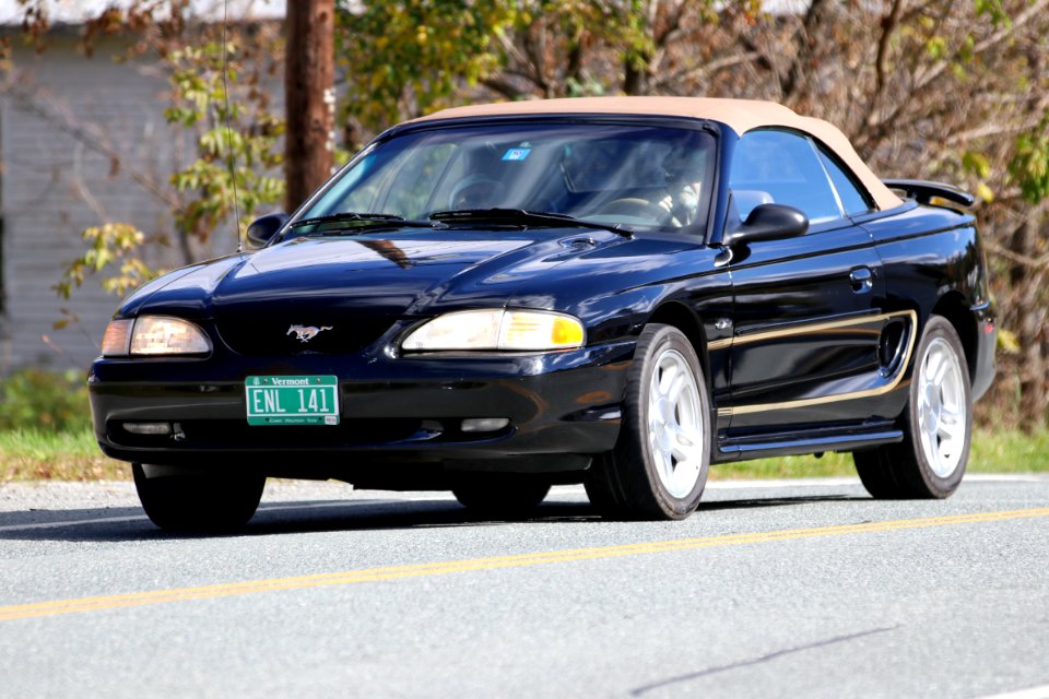 Mustang Vermont