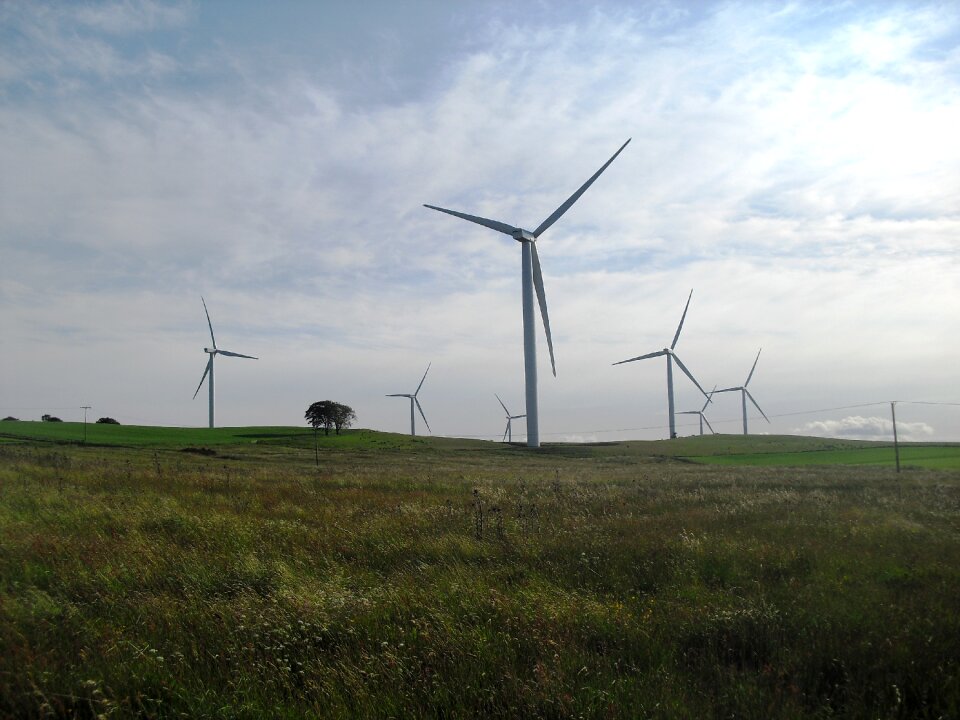 Landscape industrial wind farm