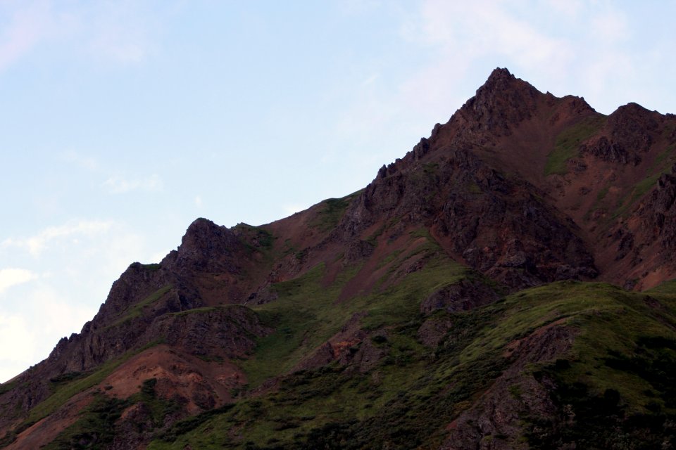 Denali National Park 5
