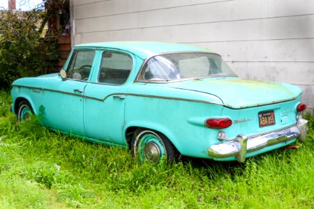 Lark Studebaker