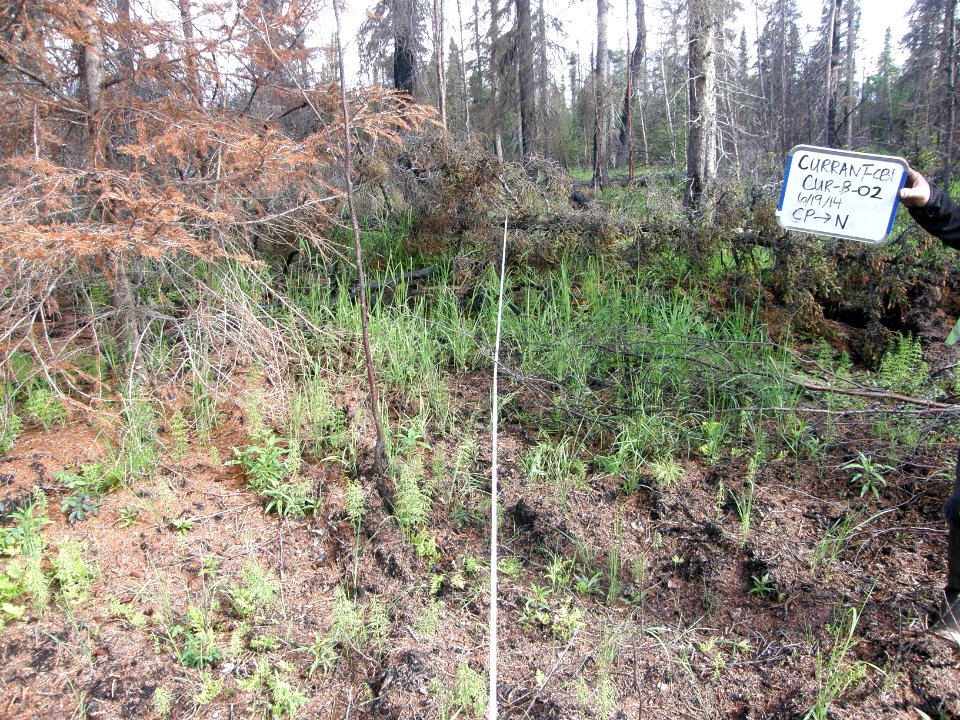 Lake Clark Current Creek Fire 2014