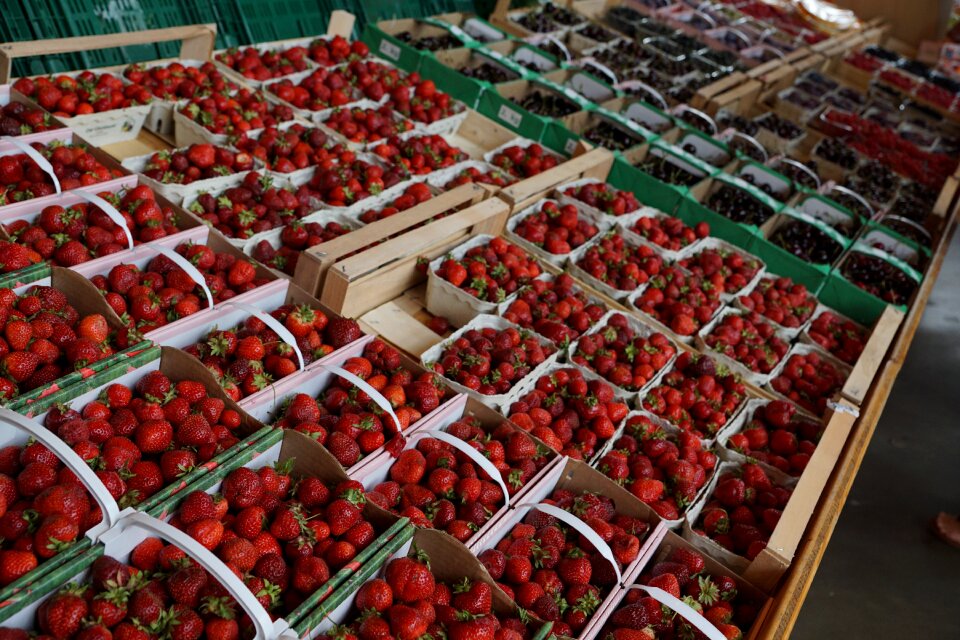 Berries vitamins food