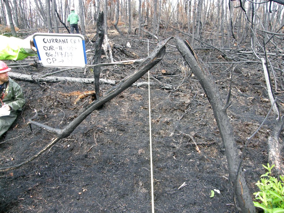 Lake Clark Current Creek Fire 2014