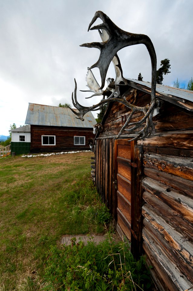 Nabesna Road - Wrangell-St. Elias