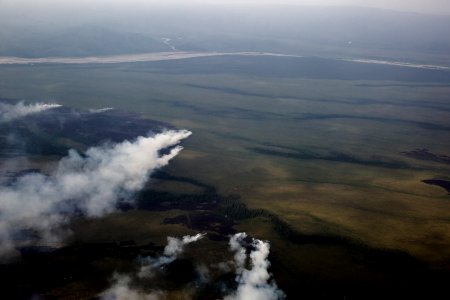 Toklat East River Fire, Denali NP, 2013, Photo by Yasunori Matsui