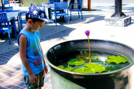 Child, Flower