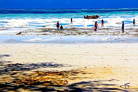 Zanzibar beach