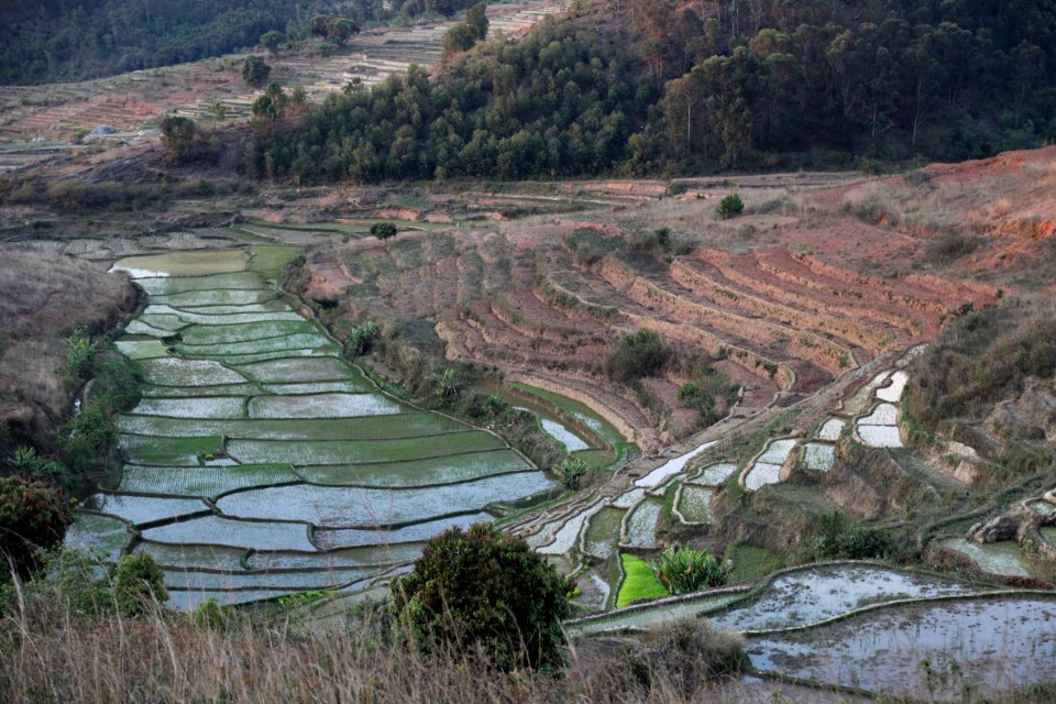 De Fianarantsoa a Ambositra