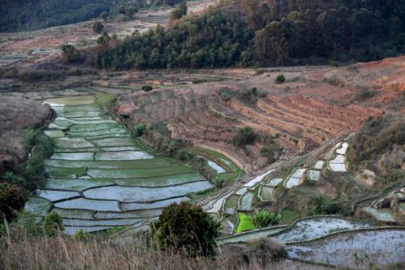 De Fianarantsoa a Ambositra