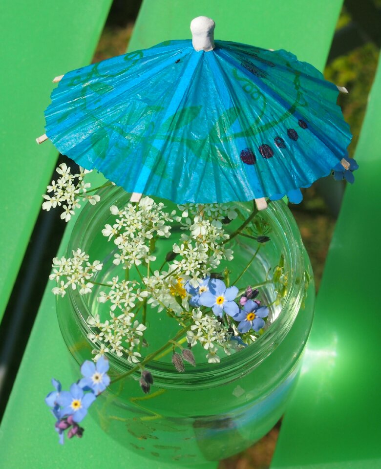 Sommerfest flowers garden